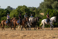 Spain-Southern Spain-Train and Trail - in Southern Spain